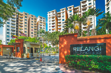 pelangi